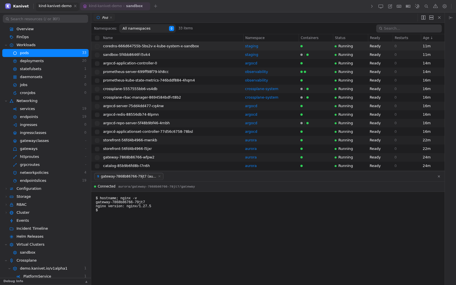 Kanivet integrated terminal connected to a Kubernetes pod